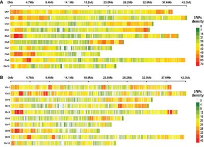 Using ddRADseq to assess the genetic diversity of in-farm and gene bank cacao resources in the Baracoa region, eastern Cuba, for use and conservation purposes